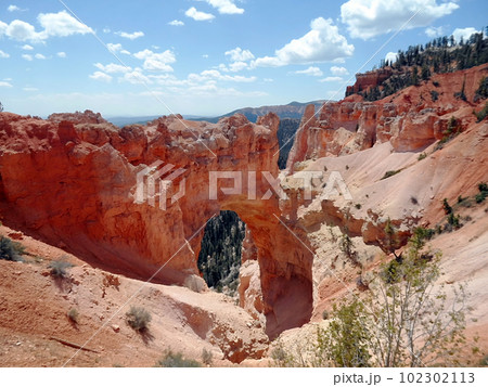 Landscape of Bryce Canyon National Park, Utah, USA, Landscape of Bryce Canyon National Park, Utah, USA, 102302113