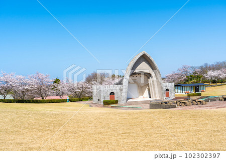 青空と満開の桜と芝生の広場|野外音楽堂|加賀市中央公園|石川県加賀市 青空と満開の桜と芝生の広場|野外音楽堂|加賀市中央公園|石川県加賀市 102302397