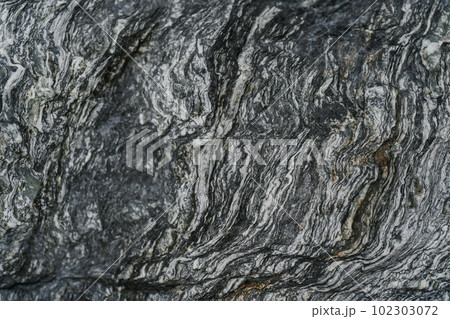 The rocky texture of an old sea stone. 102303072
