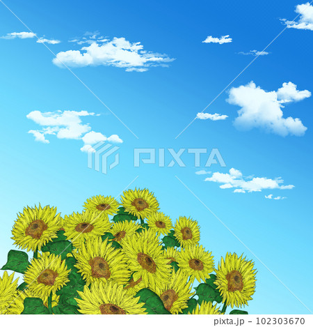 空とひまわりのイラスト素材 空とひまわりのイラスト素材 102303670