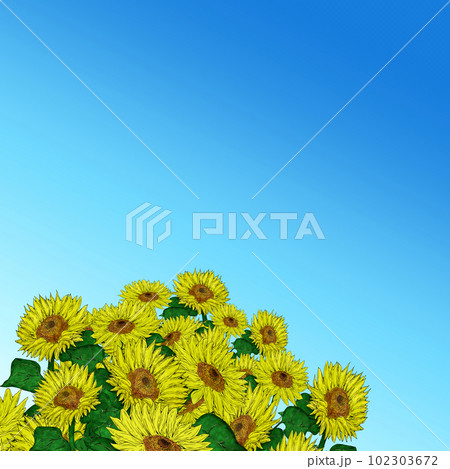 青い背景とひまわりのイラスト素材 青い背景とひまわりのイラスト素材 102303672