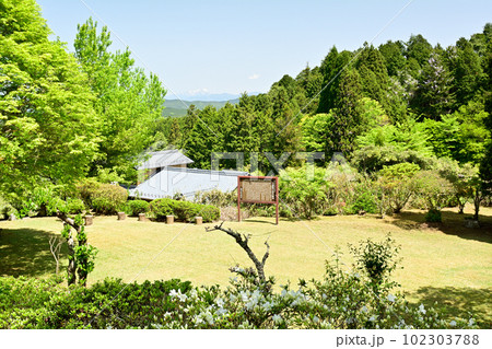 日本100名城・岩村城 日本100名城・岩村城 102303788