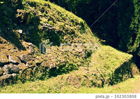 日本100名城・岩村城 102303808