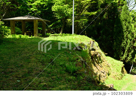 日本100名城・岩村城 102303809