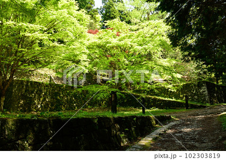 日本100名城・岩村城 102303819