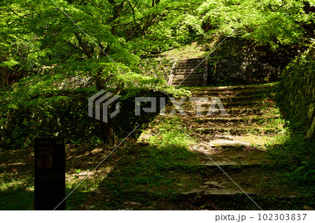 日本100名城・岩村城 102303837