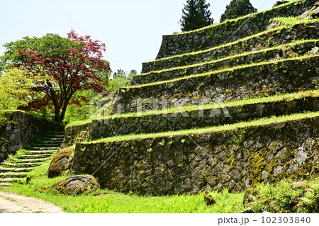 日本100名城・岩村城 日本100名城・岩村城 102303840