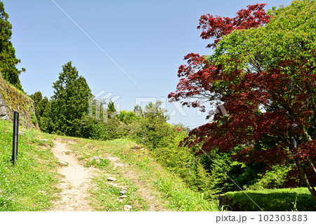 日本100名城・岩村城 102303883