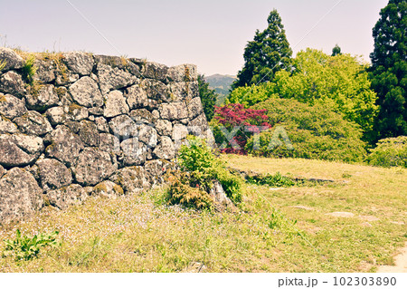 日本100名城・岩村城 102303890