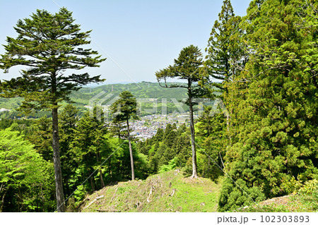 日本100名城・岩村城 102303893