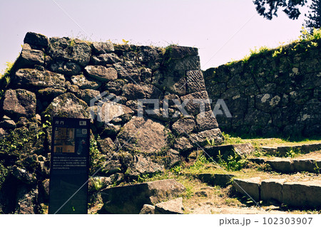 日本100名城・岩村城 102303907