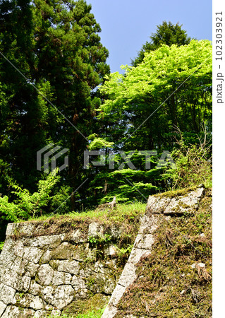 日本100名城・岩村城 日本100名城・岩村城 102303921