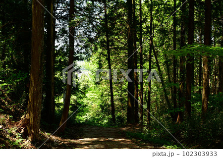 日本100名城・岩村城 102303933