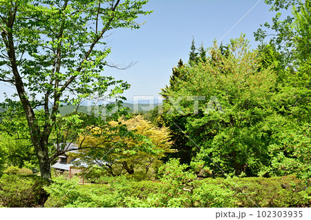 日本100名城・岩村城 102303935