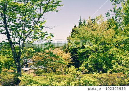 日本100名城・岩村城 102303936
