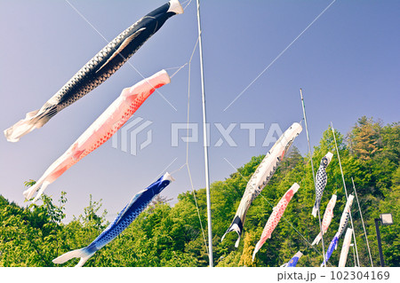 日本100名城・岩村城 102304169