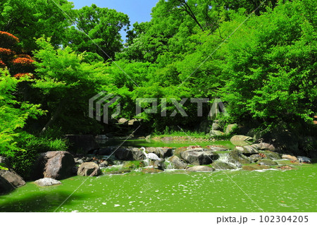 【大阪府】花博記念公園鶴見緑地の日本庭園 102304205