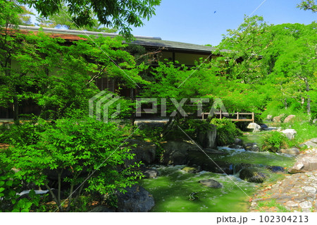 【大阪府】花博記念公園鶴見緑地の日本庭園 102304213