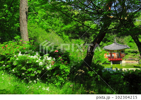【大阪府】花博記念公園鶴見緑地の大韓民国庭園 【大阪府】花博記念公園鶴見緑地の大韓民国庭園 102304215