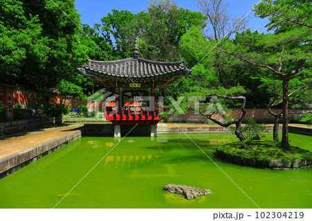 【大阪府】花博記念公園鶴見緑地の大韓民国庭園 【大阪府】花博記念公園鶴見緑地の大韓民国庭園 102304219