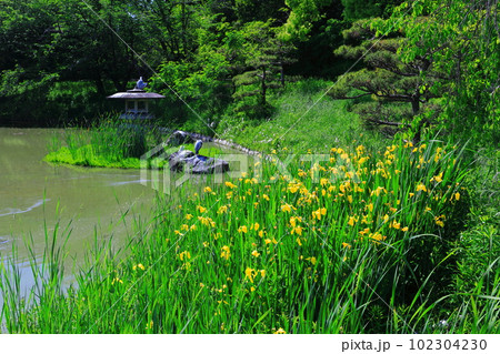 【大阪府】花博記念公園鶴見緑地の四季の池 102304230