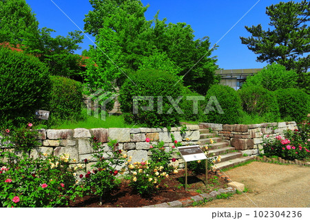 【大阪府】花博記念公園鶴見緑地のドイツ連邦共和国庭園 【大阪府】花博記念公園鶴見緑地のドイツ連邦共和国庭園 102304236