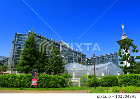 【大阪府】花博記念公園鶴見緑地の咲くやこの花館 【大阪府】花博記念公園鶴見緑地の咲くやこの花館 102304245