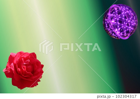 紅い薔薇　コントラストに 102304317