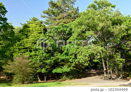 愛知・長久手古戦場 102304409