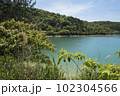 平荘湖　晴れの日に（兵庫県加古川市） 102304566