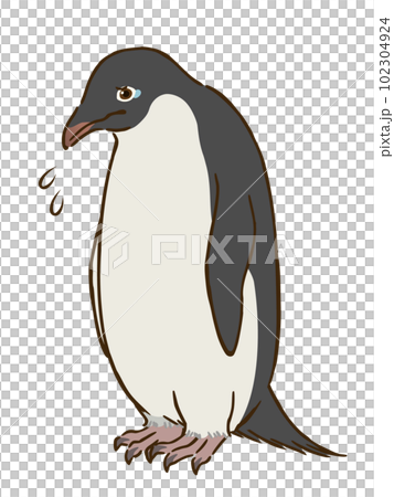 悲しむアデリーペンギン 悲しむアデリーペンギン 102304924