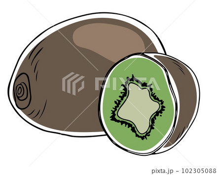Lineart style set of colored whole and halved kiwi black outline on white background Lineart style set of colored whole and halved kiwi black outline on white background 102305088