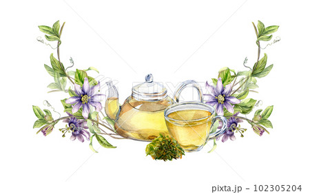 Composition of glass teapot and cup, passion flower, stem watercolor illustration isolated on white. Herbal tea, health drink, leaves, flower hand drawn. Design for wrapping, menu, packaging, banner Composition of glass teapot and cup, passion flower, stem watercolor illustration isolated on white. Herbal tea, health drink, leaves, flower hand drawn. Design for wrapping, menu, packaging, banner 102305204