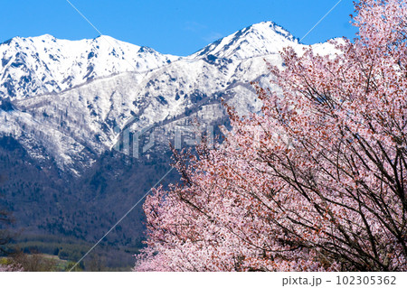 北海道 東京大学北海道演習林 北海道 東京大学北海道演習林 102305362