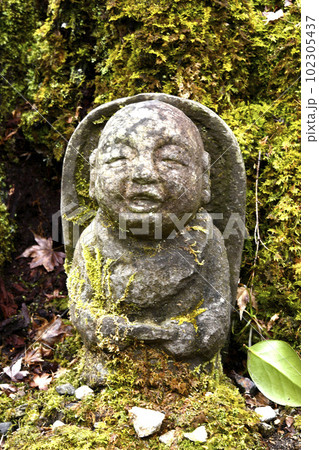 三千院 わらべ地蔵 三千院 わらべ地蔵 102305437