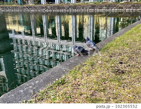 東京:お堀端の風景:水面にビルが映っている/The landscape in Tokyo 東京:お堀端の風景:水面にビルが映っている/The landscape in Tokyo 102305552