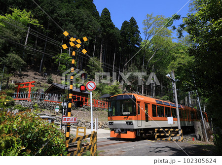 叡山電鉄 二ノ瀬駅付近を走る900形きらら 叡山電鉄 二ノ瀬駅付近を走る900形きらら 102305624