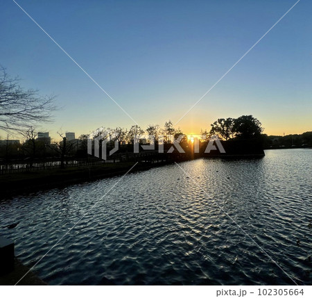 晴れた日の夕焼け:皇居お堀端の風景/One of Tokyo's landscapes 晴れた日の夕焼け:皇居お堀端の風景/One of Tokyo's landscapes 102305664