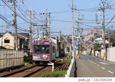 京福電鉄 嵐電の電車 北野白梅町駅付近 京福電鉄 嵐電の電車 北野白梅町駅付近 102306184
