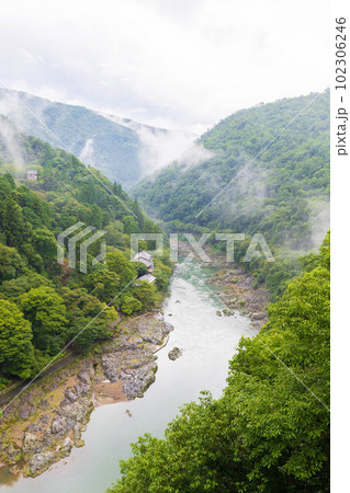 古都京都　嵯峨嵐山の夏　霧に煙る保津峡（嵐峡） 102306246