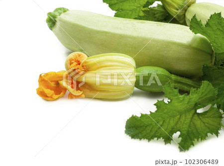Diet food, vegetarianism. Flowers, leaves and fruits of young green zucchini isolated on white background 102306489