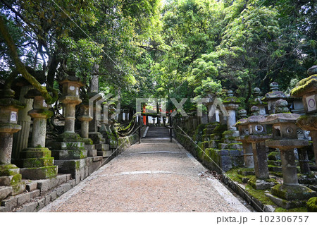 神秘的な奈良市春日大社の慶賀門への参道 神秘的な奈良市春日大社の慶賀門への参道 102306757