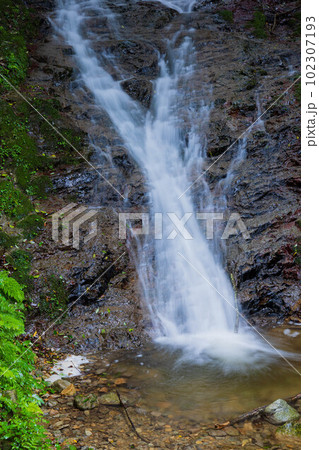 古都京都　大原の夏　緑深まる音無の滝 102307193