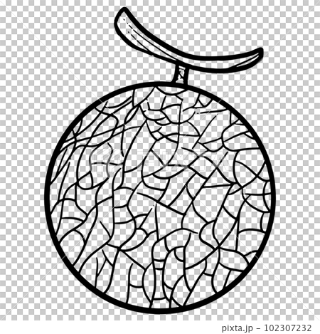 Simple melon black and white line drawing illustration Simple melon black and white line drawing illustration 102307232