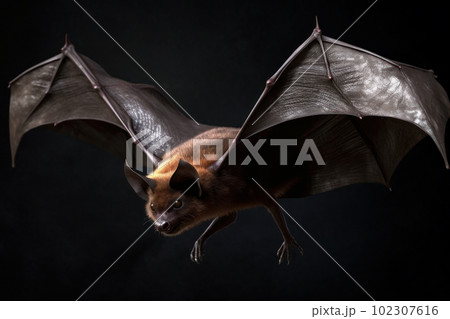 翼を広げたオオコウモリ:AI作品 翼を広げたオオコウモリ:AI作品 102307616