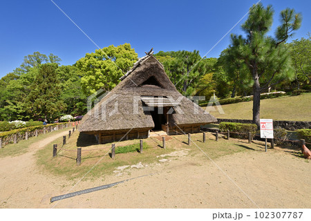 復元竪穴住居　紀伊風土記の丘（和歌山県和歌山市） 102307787