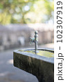 公園の水飲み場 102307919