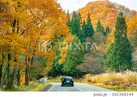 岐阜県高山市 秋の紅葉のせせらぎ街道を走る乗用車 岐阜県高山市 秋の紅葉のせせらぎ街道を走る乗用車 102308144