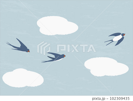 空を飛ぶ三羽のツバメ 102309435