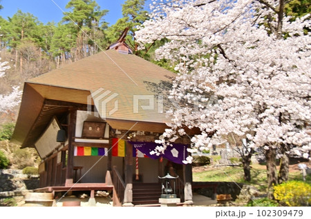 信濃三十三観音霊場六番札所の観龍寺 102309479